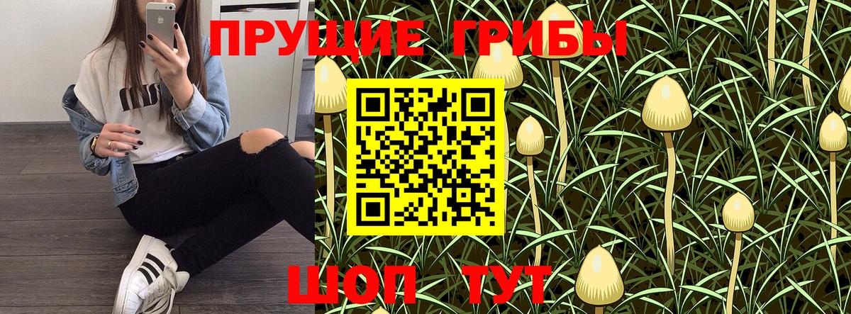 где найти наркотики  Галлюциногенные грибы Magic Shrooms  Вход с VPN  Белогорск 
